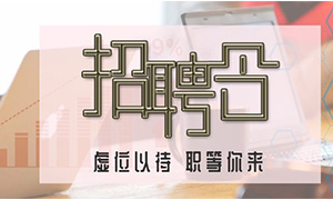 服務商戶，致力發(fā)展—安徽分公司合肥濱湖店攜手優(yōu)質(zhì)商戶人才招聘會 